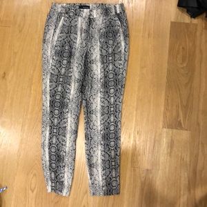 NWOT kooples animal print pants
